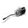 Bi gầm led GTR - ảnh 4