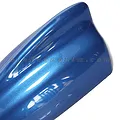 Đuôi cá ăng ten lớn màu xanh - ảnh 2