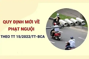quy-dinh-phat-nguoi-o-to-moi-2022-va-cach-check-phat-nguoi-o-to
