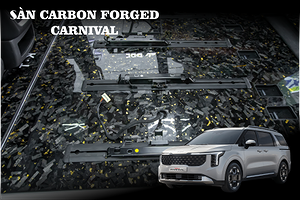 Sàn Limousine Carnival Carbon Forged - DVF203