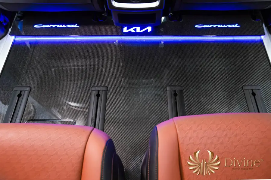 Sàn Limousine Carnival Carbon Fiber - DVF201 - Ảnh 3