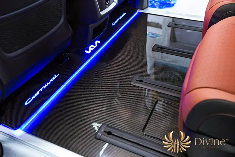 Sàn Limousine Carnival Carbon Fiber - DVF201 - Ảnh 2