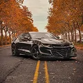 Decal Teckwrap Gloss Coal Black  MT01-HD  - ảnh 3
