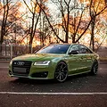 Decal Teckwrap French Olive CG31-HD  - ảnh 2