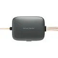 Loa Harman/Kardon FLOW 600CF - ảnh 2