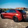 Decal Teckwrap Supreme Red GAL26-HD  - ảnh 3
