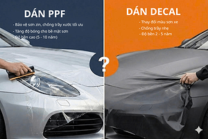 dan-ppf-khac-gi-dan-decal-bao-ve-son-hieu-dung-de-lua-chon