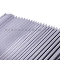 Che nắng kính lái F1 - ảnh 2