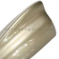 Đuôi cá ăng ten lớn màu vàng - ảnh 2
