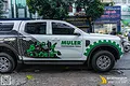 Tem Quảng Cáo Xe Bán Tải Ford Ranger – Thương hiệu Muler Tools - ảnh 3