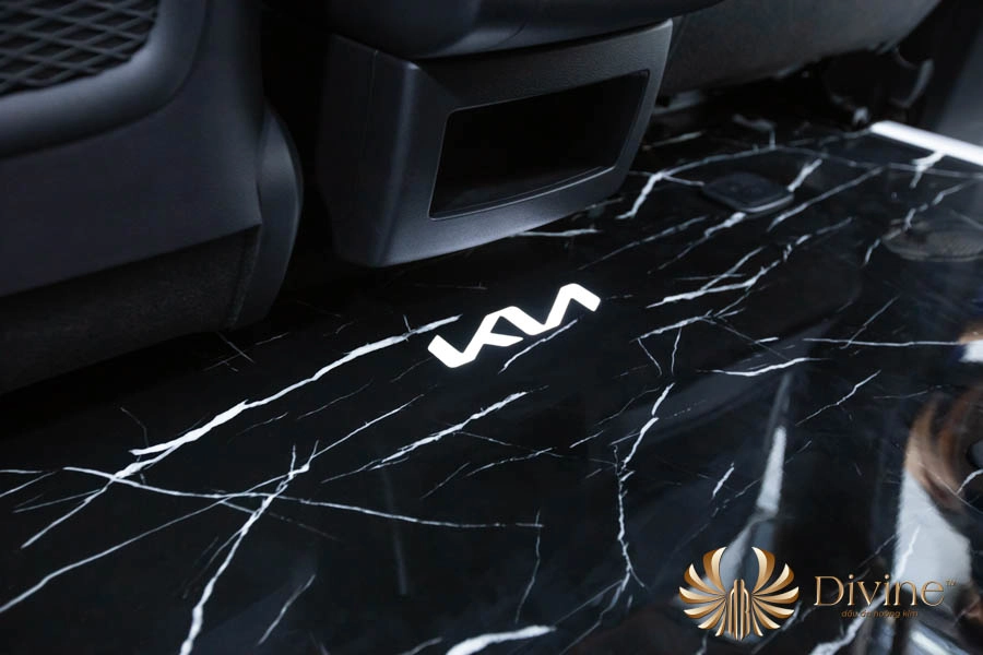 Sàn Limousine Carnival Họa Tiết Vân Đá - DVF101 - Ảnh 1