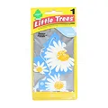 Lá thơm Little Trees Daisy Fields - ảnh 1