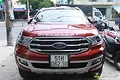 Mặt ca lăng Ford Everest [2016-2020] - ảnh 4