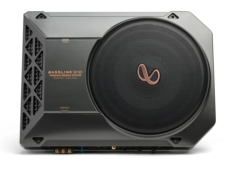 Sub Infinity Basslink SM2 - Ảnh 1