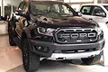 Mặt ca lăng Ranger Wildtrak - ảnh 1