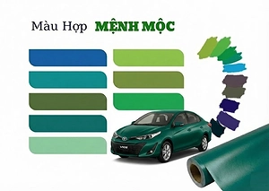 goi-y-dan-doi-mau-o-to-hop-menh-moc-2026