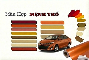 goi-y-dan-doi-mau-o-to-hop-menh-tho-2026