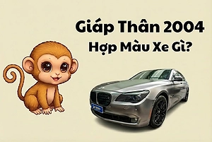 giap-than-2004-hop-xe-o-to-mau-gi-2026-nam-mang-nu-mang