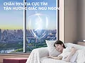 Dán Phim Cách Nhiệt Nhà Kính - ảnh 1