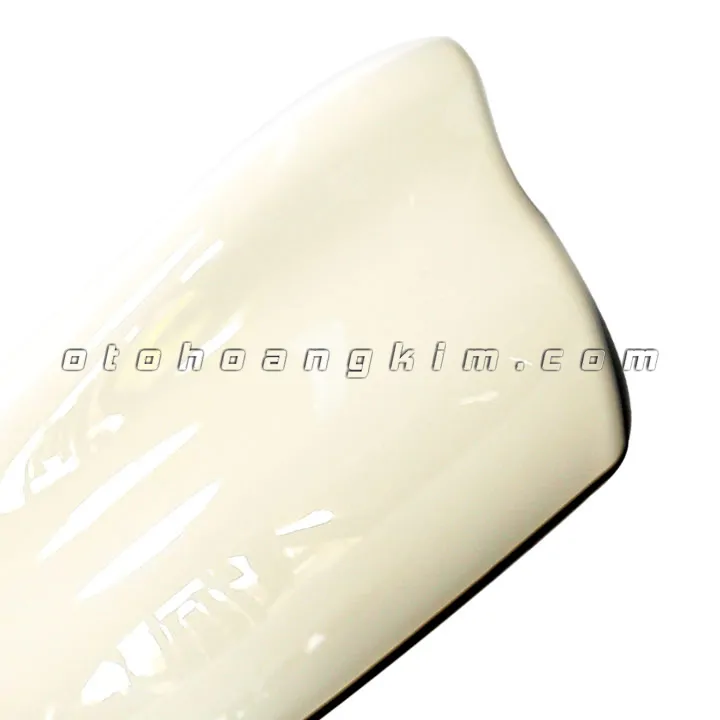 Đuôi cá ăng ten lớn màu trắng - Ảnh 2