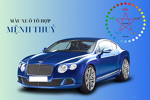 menh-thuy-hop-xe-mau-gi-de-thu-hut-tai-loc-va-may-man