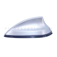 Đuôi cá ăng ten trung bạc