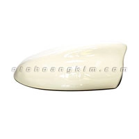 Đuôi cá ăng ten lớn màu trắng