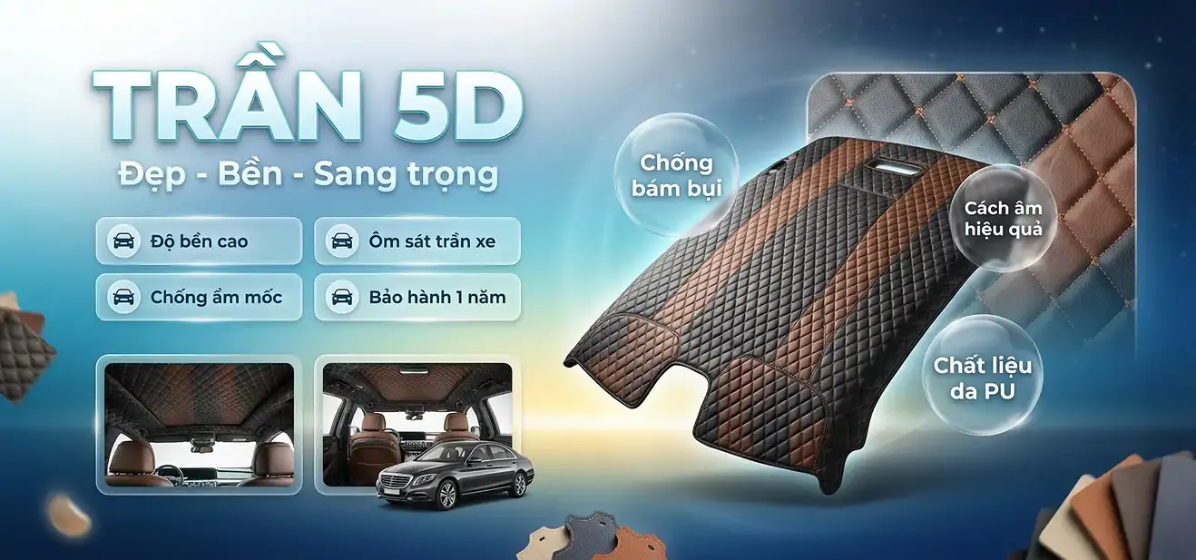 TRẦN 5D