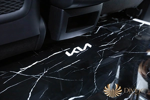 Sàn Limousine Carnival Họa Tiết Vân Đá - DVF101