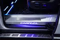 Sàn Limousine Carnival Carbon Forged - DVF202  - ảnh 4