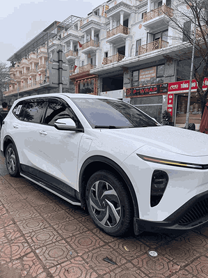 Bậc lên xuống cơ cho Limo Green mẫu MH