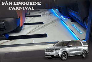 Sàn Limousine Carnival Họa Tiết Vân đá - DVF103 