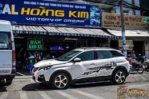 Tem Xe Peugeot 3008 - P38006