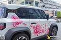 Tem xe Vinfast VF3 hoạ tiết hoa hồng - ảnh 1