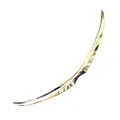 Ốp Capo cánh cung Toyota Vios - ảnh 1