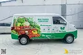 Dán Tem Quảng Cáo Xe Dongben X30 - Thương Hiệu Mai Thanh - ảnh 1