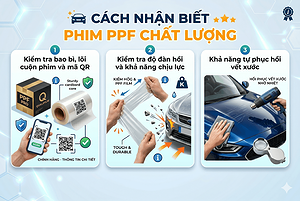 cach-nhan-biet-phim-ppf-chat-luong-tranh-mat-tien-oan