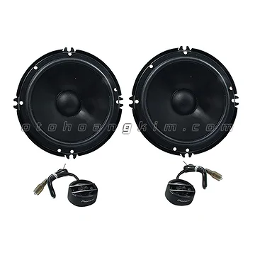 Loa Pioneer TS-G160C