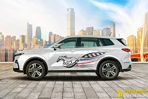 Tem Xe Ford Territory - FTE003