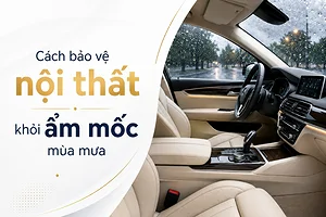 huong-dan-cach-bao-ve-noi-that-o-to-khoi-am-moc-trong-mua-mu