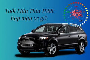 nam-nu-tuoi-mau-thin-1988-hop-mau-xe-gi