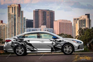 Tem Xe Hyundai Elantra - HEL013