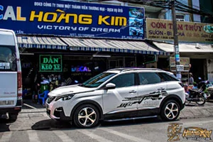 Tem Xe Peugeot 3008 - P38006