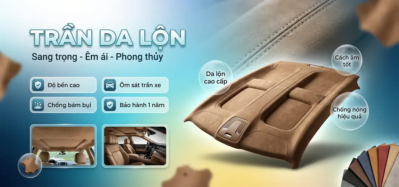 TRẦN DA LỘN