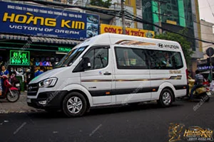 Tem Xe Hyundai Solati - HSL010