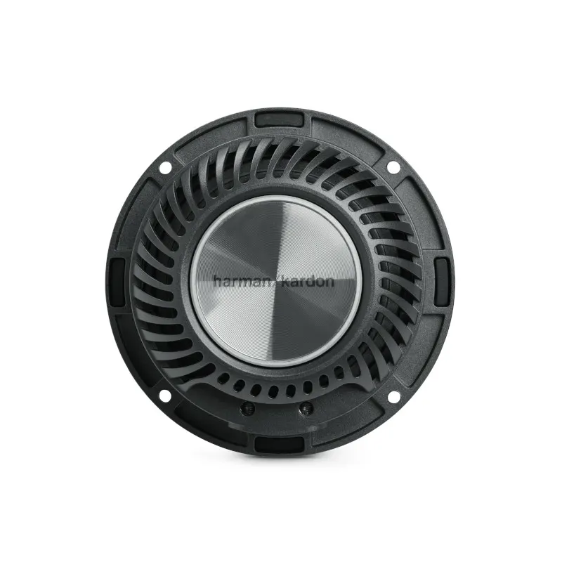 Loa Harman/Kardon FLOW 300S - Ảnh 6