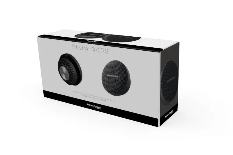 Loa Harman/Kardon FLOW 300S - Ảnh 2