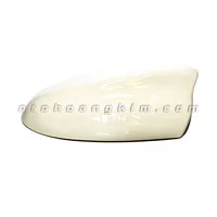 Đuôi cá ăng ten lớn màu trắng