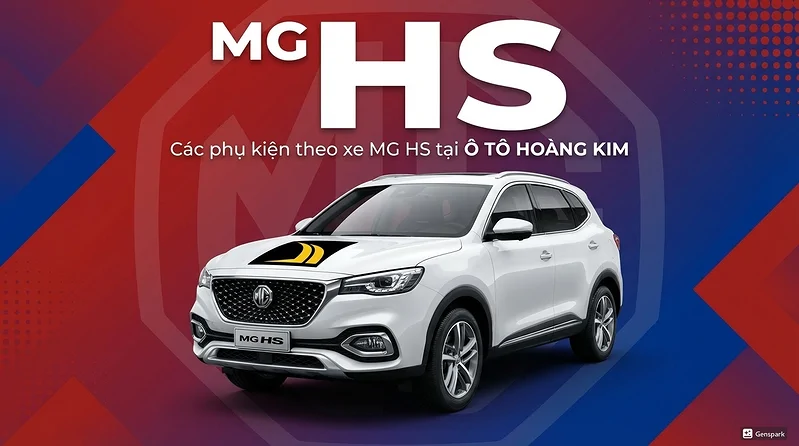 Mg Hs
