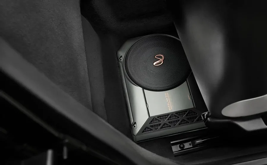 Sub Infinity Basslink SM2 - Ảnh 5